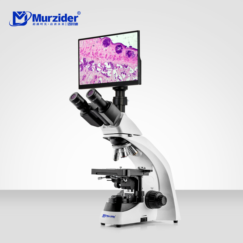 MSD5330 2000 Industrial Metallurgical Microscope with