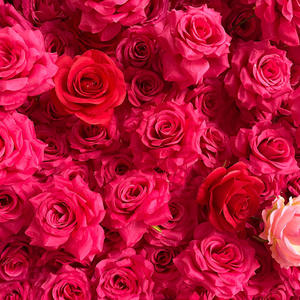Gradient 5D Fabric Base <b>Flower</b> <b>Wall</b> Backdrop Wedding Decoration Outdoor Event Scene Decor Faux <b>Flower</b> <b>Wall</b> - Product Image 2