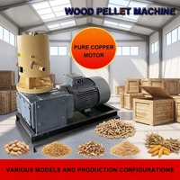 Machine à granulés portable monophasée 220V 4Kw pour transformer la paille de riz, la paille et la sciure de bois en granulés de combustible renouvelable pour le chauffage domestique