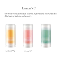Cartouche de vitamine C ACF pour pommeau de douche à piles en plastique à usage domestique élimine le chlore résiduel et les métaux lourds