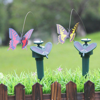 Butterfly mixed colors