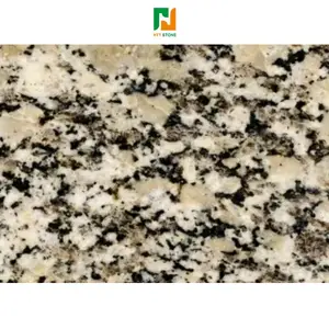 Segmen berlian untuk cat Granit Granit untuk dinding luar alami lempengan batu Granit meja