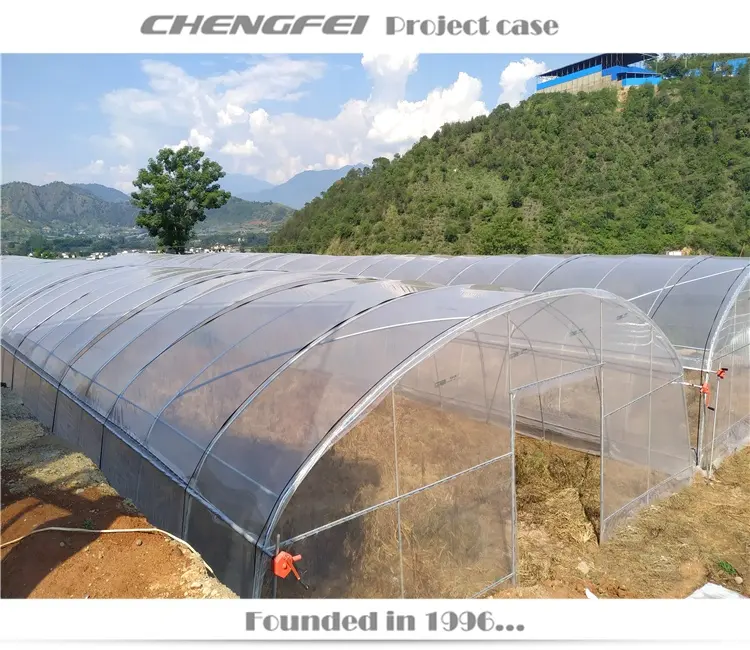 Single-span Tunnel New Design Low Cost Price Home Garden Green House For Melon