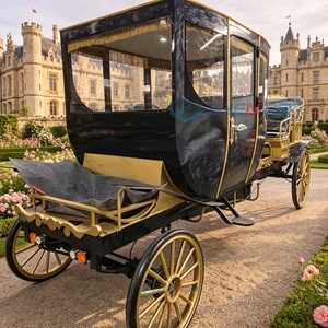Chariot de cérémonie royal haute performance pour événements de mariage, défilés et affaires - Product Image 1