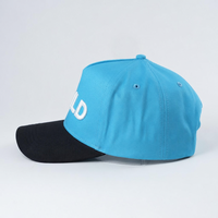 Casquette de baseball personnalisée bicolore à 5 panneaux, en toile de coton brodée, unisexe, avec visière réglable pour l'extérieur