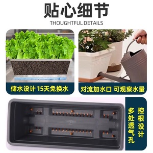 Pot rectangulaire pour légumes de balcon - Product Image 4