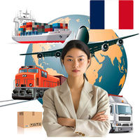 Sites d'e-commerce chinois DDP, agent de dropshipping Cainiao Shopify, transitaire Shenzhen Yiwu pour la France, les États-Unis, LCL, DHL Express