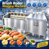 Machine automatique de lavage et de pelage de pommes de terre à rouleaux brosse, laveuse de légumes, solution de nettoyage pour carottes, gingembre, manioc, taro, patate douce