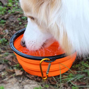 Taşınabilir katlanabilir Pet özel köpek kase yuvarlak kolay taşıma seyahat besleyici küçük hayvanlar için renkli yükseltilmiş kedi köpek tabak - Product Image 4