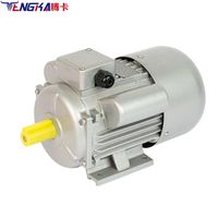 Moteur monophasé YC/MC 220V 1HP 2HP 3HP 5HP 10HP Moteurs électriques à économie d'énergie