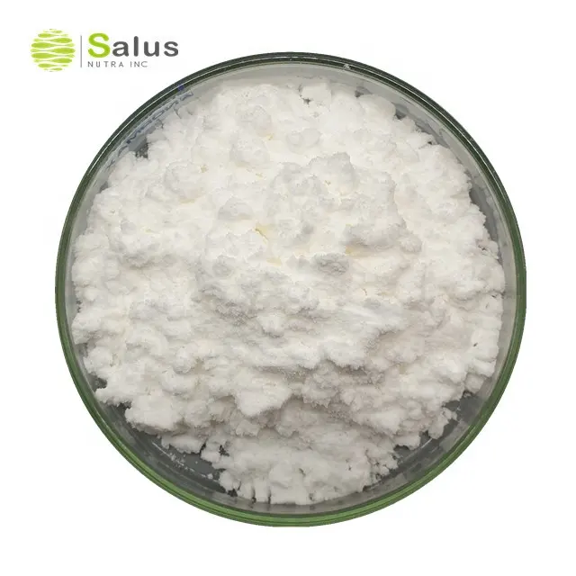 Hydroxybetulinic Acid 98% By HPLC Natural Ingredient for Skin and Beauty Care