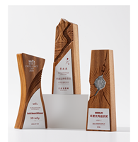 Trophée sur mesure fabriqué en Chine, nouveau modèle 2026, créatif, pour la récompense des champions de compétition, prix d'entreprise, haut de gamme, élégant, commémoratif