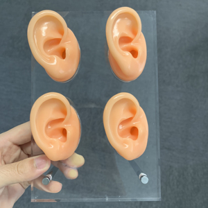 Prothèses auditives Souple Flexible Silicone Quatre Oreilles Modèle D'oreille Présentoir Modèle HappyHearing Affichage D'oreille - Product Image 5