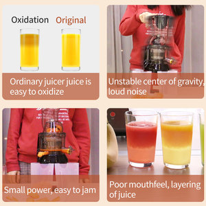 BPA Free Horizontal Ice Maker Press Machine Commercial Fruit Juicer Slow Maker Machine - Product Image 5