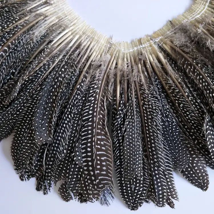 가장 인기있는 공장 아울렛 자연 색상 기니 닭 날개 quills 깃털