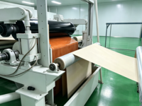 Unimprägniertes Kraft-Basispapier aus Weichholz, Geeignet für Phenol- und Melaminharz-Imprägnierung für Sperrholz und Holzplatten