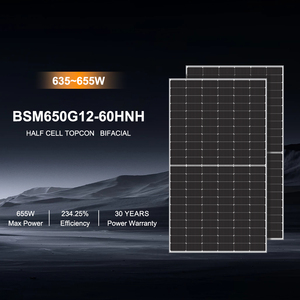 Panel <span class=keywords><strong>Solar</strong></span> Monocristalino Bifacial HJT de Alta Eficiencia de 650W, Módulo Fotovoltaico de Doble Vidrio de 500W 550W 600W 720W con 30 Años de Garantía - Product Image 2