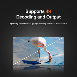 Liontron P3X Rockchip RK3288 scheda di sviluppo della scheda madre per la vendita al dettaglio intelligente con supporto Dual-Band e 2 + 16G DDR - Product Image 5