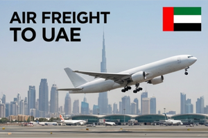 <span class=keywords><strong>Service</strong></span> de fret aérien express vers Dubaï, Émirats arabes unis, et transbordement vers Oman, Bahreïn, Koweït - Product Image 6