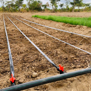 Suministro directo de fábrica, tubo de goteo de 16mm, manguera de jardinería, sistema de riego por goteo para granjas, invernadero - Product Image 6