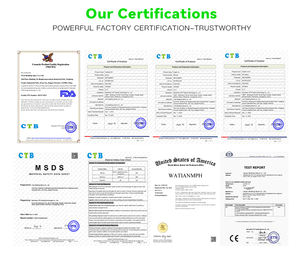 Approvisionnement d'usine Huile essentielle d'angélique naturelle pure Marque privée personnalisée pour les soins corporels - Product Image 6