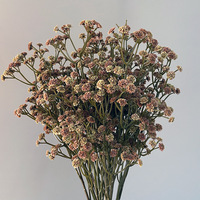 Fleurs de Gypsophile Artificielles en Gros, Toucher Réel, Blanc et Marron, pour Décoration de Mariage, de Fête à Domicile