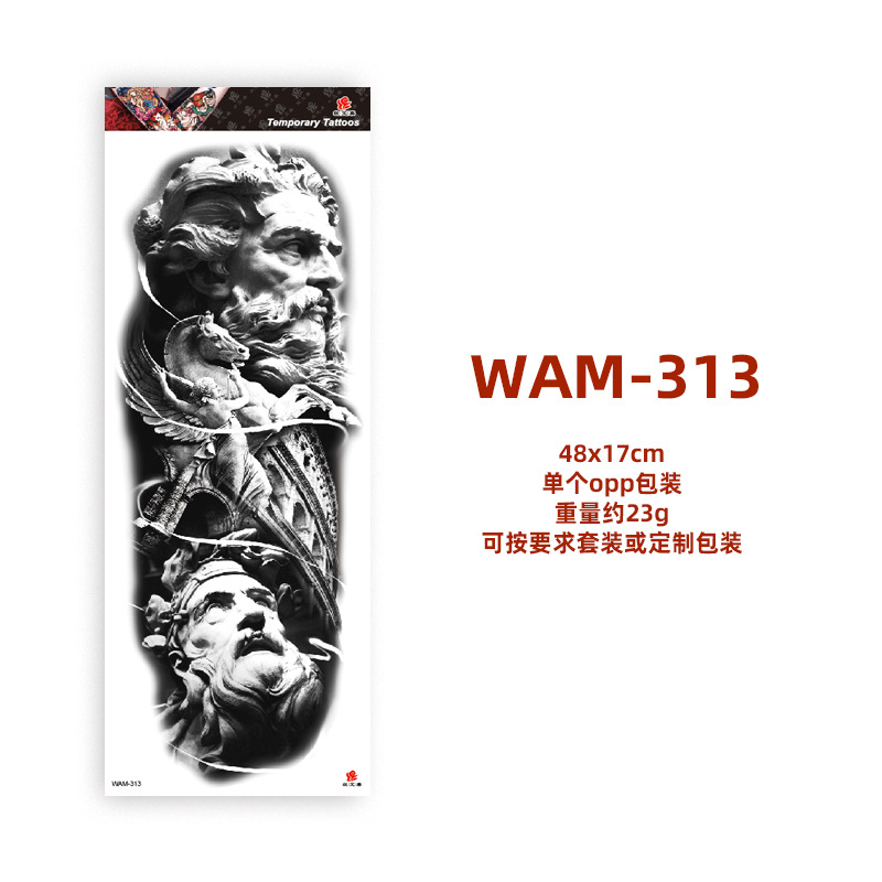 WAM313
