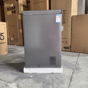 Congélateur Coffre à Double Usage de 101L pour Utilisation Domestique, Réfrigération Portable sans Givre pour la Conservation des Aliments et Légumes, pour Gaz et Solaire - Product Image 1