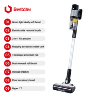 Aspirateur à main sans fil détachable personnalisable avec logo, léger, pour la maison, la voiture, les tapis et le nettoyage des poils d'animaux