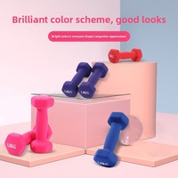 Haltères pour femmes, équipement de fitness à domicile, haltères hexagonaux en fonte solide pour étudiants, perte de poids, entraînement de force
