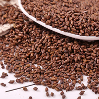 Graines de Cassia Séchées en Vrac pour Tisane Naturelle Jue Ming Zi Certifiées ISO 22000 – Soulage la Fatigue, Renforce l'Énergie – Emballage en Sachet