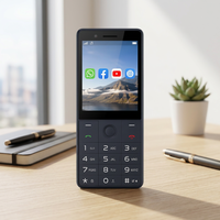 Neues 2,8 Zoll 4G LTE Android 11 Smartphone mit Kamera Quad-Core-Prozessor Dual-SIM Französisch Deutsch Sprachen 2000-2499mAh Akku