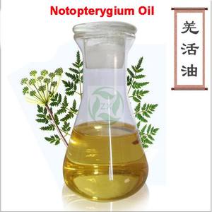 100% чистое натуральное экологически чистое масло <span class=keywords><strong>Notopterygium</strong></span>, высокое качество, корневое масло <span class=keywords><strong>Notopterygium</strong></span> для здравоохранения, Лидер продаж - Product Image 2