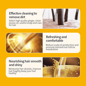 Champú y Acondicionador de Jengibre Orgánico KORMESIC ODM OEM <span class=keywords><strong>para</strong></span> <span class=keywords><strong>el</strong></span> Crecimiento del <span class=keywords><strong>Cabello</strong></span>, Champú Anticaída, Champú Natural a Base de Hierbas <span class=keywords><strong>para</strong></span> un Crecimiento <span class=keywords><strong>Rápido</strong></span> del <span class=keywords><strong>Cabello</strong></span> - Product Image 2