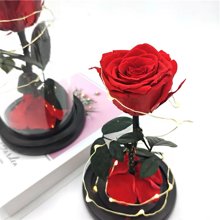 wholesale Beauty and the beast real preserved rose flower in glass dome with Led light gift for Valentine's Day