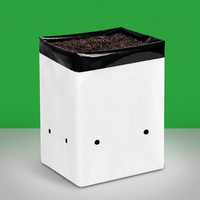 Landbouwkassen Zwart-witte plastic kweekzakken 1 2 3 5 gallon groenteplant kas herbruikbare hydrocultuur kweekzakken