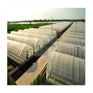 Sistema Hidropónico, Invernadero Solar para Hongos, Invernadero Agrícola de Plástico para Plantas - Product Image 3
