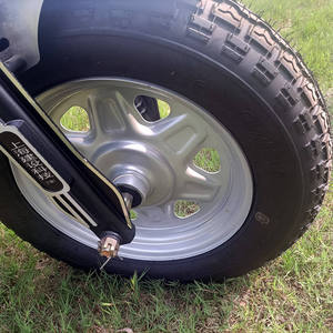 2025 Sanbengzi 3 roues <span class=keywords><strong>Tricycle</strong></span> électrique vélo pour <span class=keywords><strong>adultes</strong></span> nouveau 800-1000W Cargo Trike électrique multifonction - Product Image 4