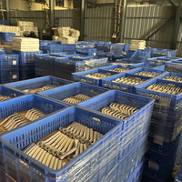 Pièces moulées sur mesure en acier, aluminium et fer, par fonderie de moulage en sable