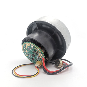 Venta caliente 36V 500W 18kPa Potente flujo de aire 81CFM Motor de vacío de CC sin escobillas - Product Image 1