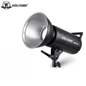 Per WOLFGANG 200W-D monocromatico temperatura professionale LED luce costante fotografia lampada illuminazione Video per interni - Product Image 2