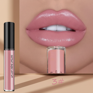 Vente en gros <span class=keywords><strong>de</strong></span> rouge à lèvres liquide mat coloré, haute pigmentation, imperméable, longue tenue, lisse, gloss à lèvres, étiquette privée, logo personnalisé - Product Image 1
