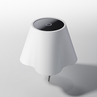 Lampe LED sans fil pour bouteille de vin, styles populaires et brevetés, décoration, restaurant, hôtel, bar, rechargeable, sans cordon