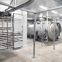 Hoogwaardige automatische multifunctionele 304 roestvrijstalen vacuümvriesdroogmachine voor fruit- en voedselverwerking