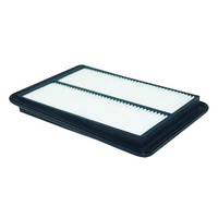 Filtre à air SAP096N de vente directe d'usine CA-C904P pour Hafei Lifan JAC Hyundai Elantra Nobel Changan Nio Li Auto Cherry