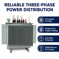 Wanbo-468 S13 630kVA 10kV Dyn11 Gaz Rölesi ONAN Oluklu Kanatlı Bakır Sargılı Üç Fazlı Yağlı Tip Trafo