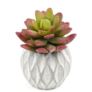 Venta al por mayor de la fábrica de alta calidad mini <span class=keywords><strong>echeveria</strong></span> falso cactus artificiales planta para Decoración - Product Image 1