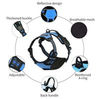 Accessoires pour chiens personnalisés par des designers, harnais et laisse pour chien réglables en nylon réfléchissant, respirant, OEM