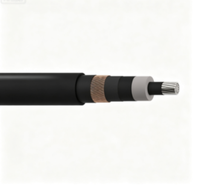 Câble Monoconducteur Industriel 12/20 (24) KV NA2XS (F) 2Y en Aluminium avec Isolation XLPE et Gaine MDPE pour Distribution Électrique