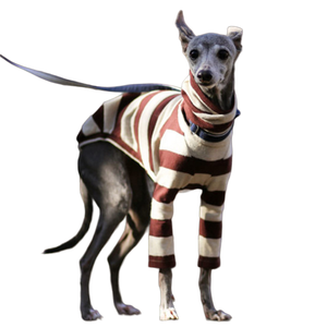 <span class=keywords><strong>Ropa</strong></span> para mascotas, camisa de fondo, suéter de dos piernas, Whippet <span class=keywords><strong>Doberman</strong></span> Pinscher, <span class=keywords><strong>ropa</strong></span> para perros a rayas - Product Image 1